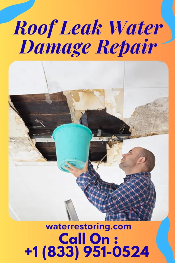 Roof Leak Water Damage Repair in Sioux Falls, SD