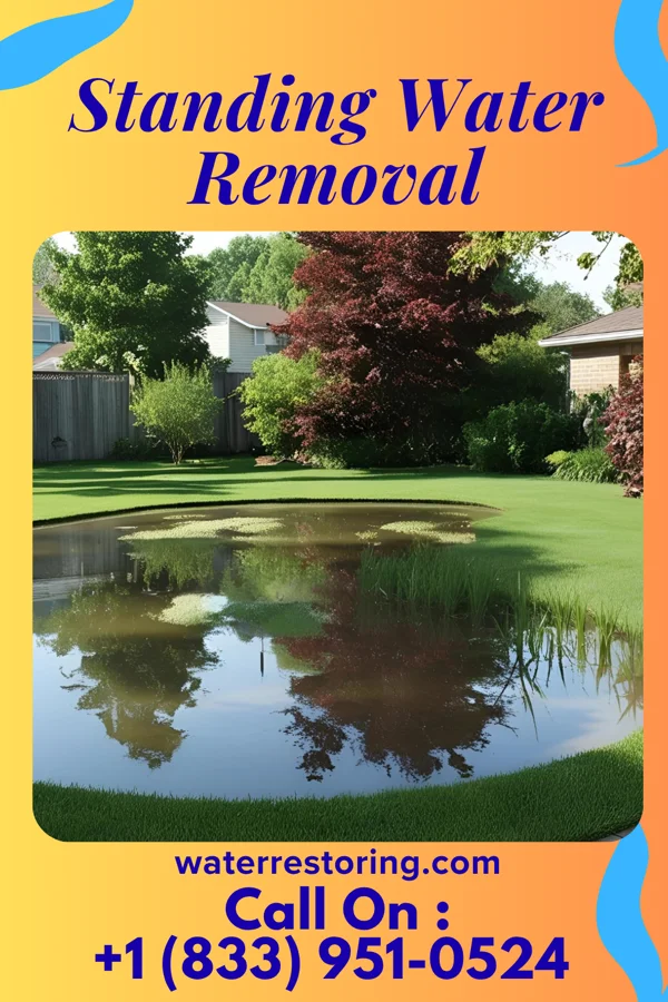 Standing Water Removal in Sioux Falls, SD